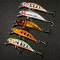 5 PCS Lure Kit, Sinking Minnows