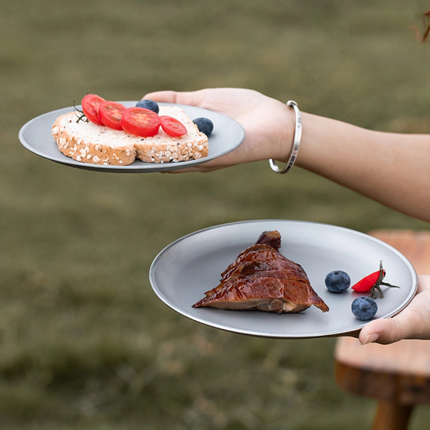 Titanium Purification Plate Dinnerware